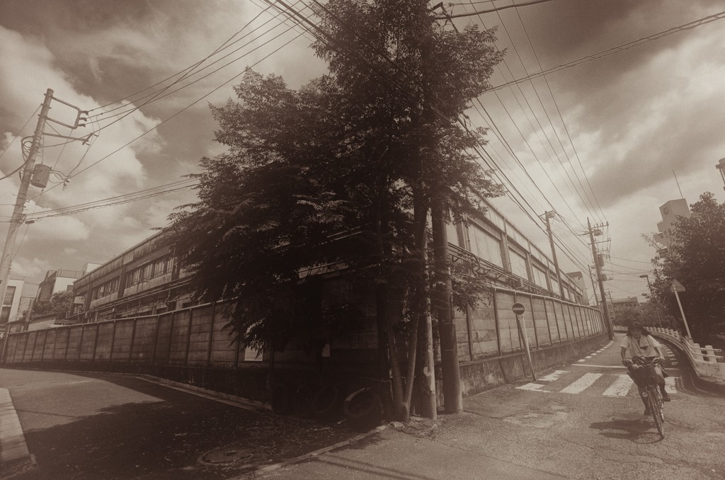 a photo from my dady's album