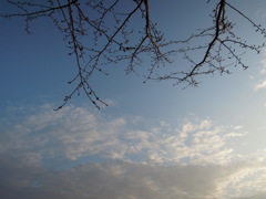 DSCN0104