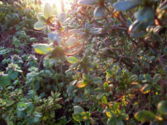 DSCN0111_