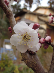 DSCN0033