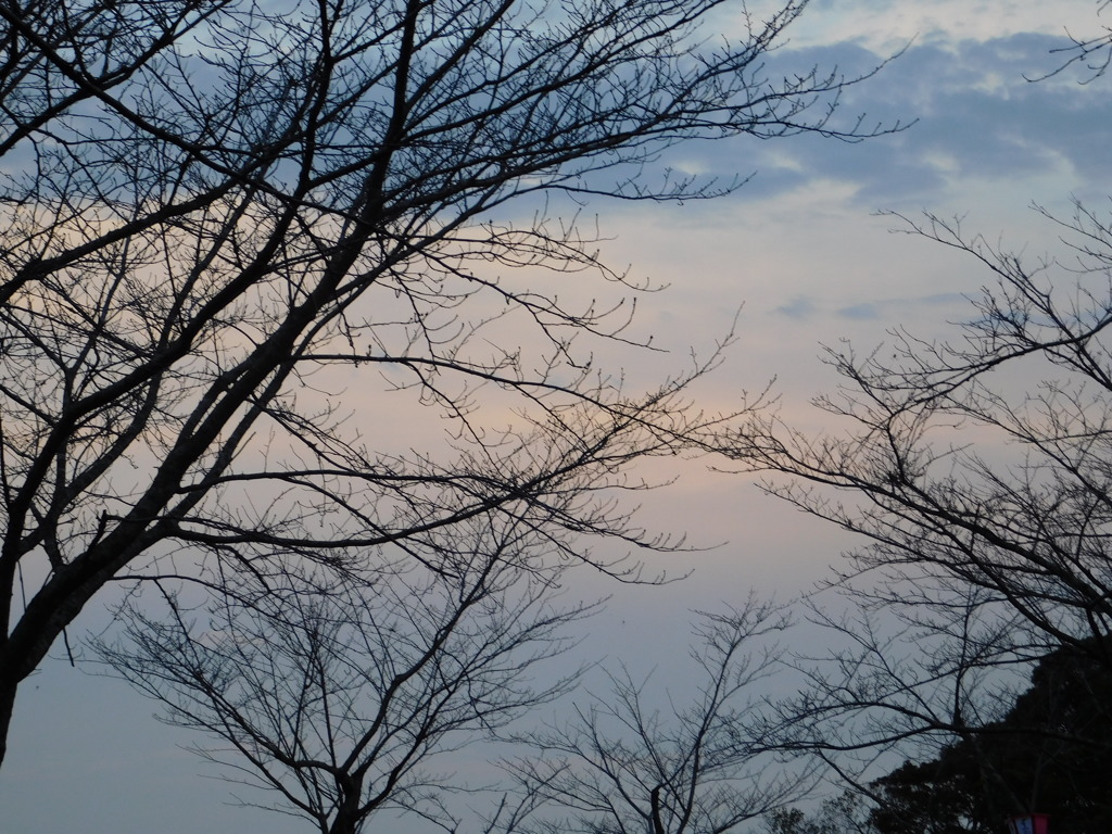 空が近い。