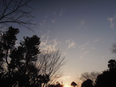DSCN0105