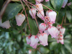 DSCN0097_