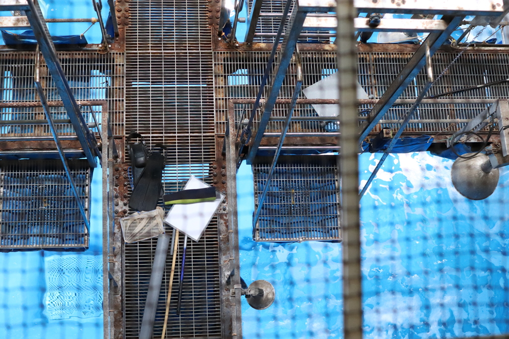 バックヤード_3