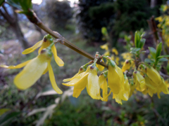 DSCN0101_