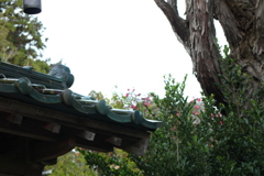 瓦屋根