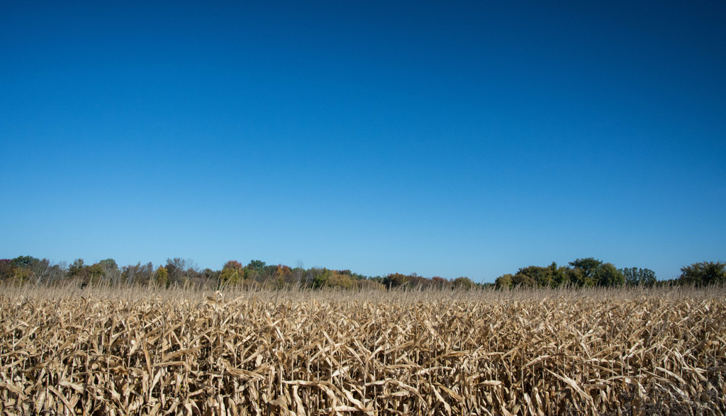 the october country 