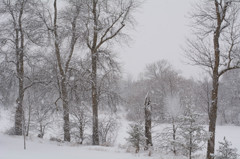 吹雪
