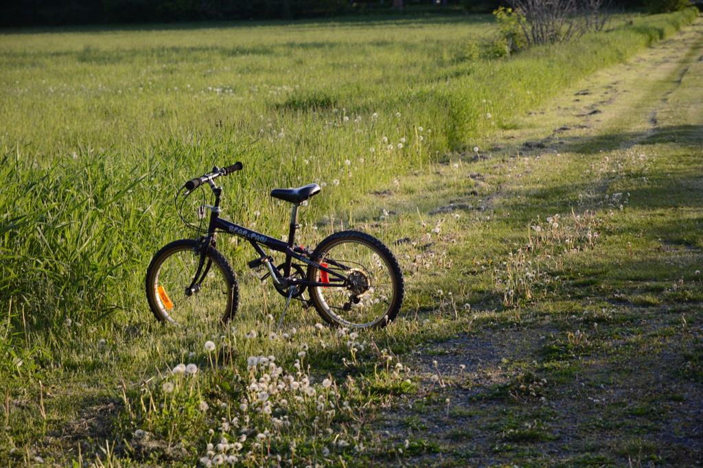 自転車
