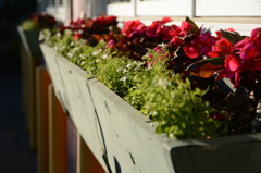 window box 