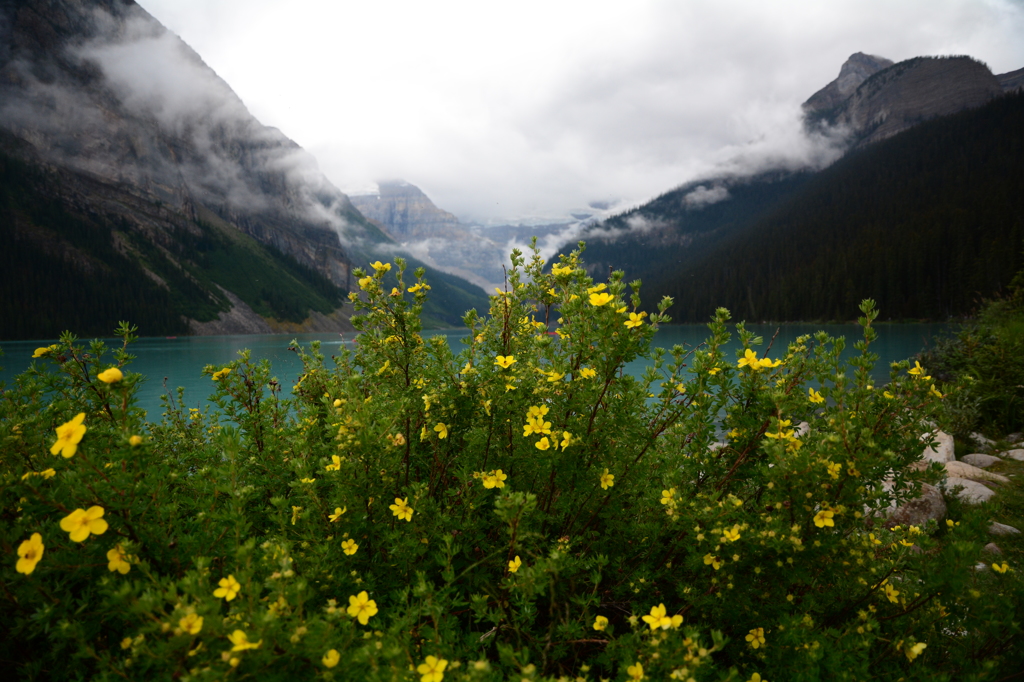 Lake Louise 