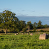 hay bales