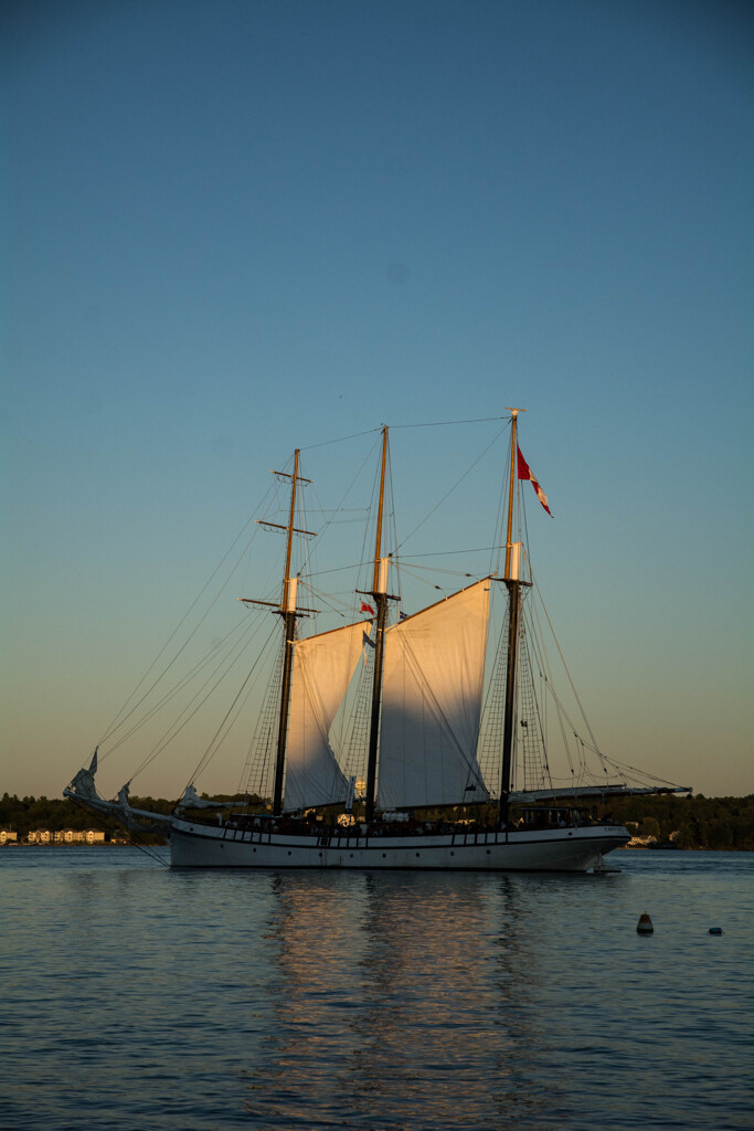 tall ship &夕日