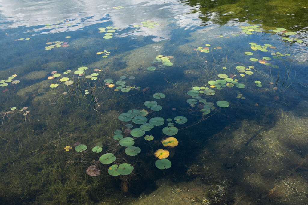 湖面