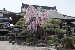 阿弥陀寺