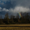 雨雲と虹