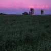 夕方のファーム