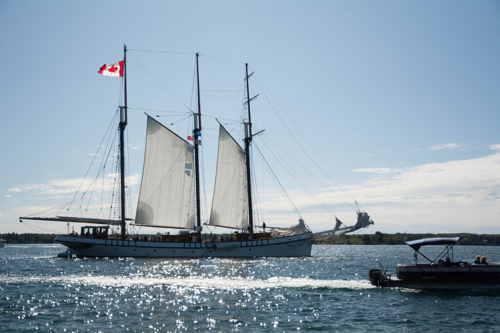 tall ship &朝日