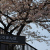 ゴール地点は人込み