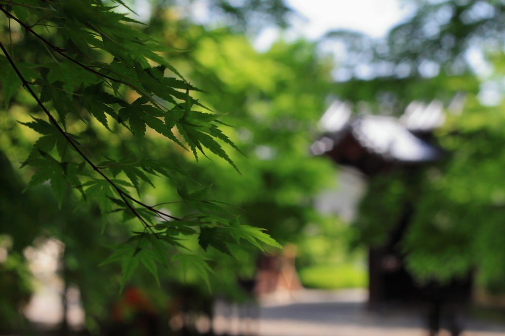 総本山光明寺にて