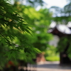 総本山光明寺にて