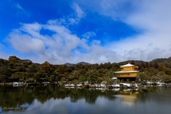 寒波襲来でも