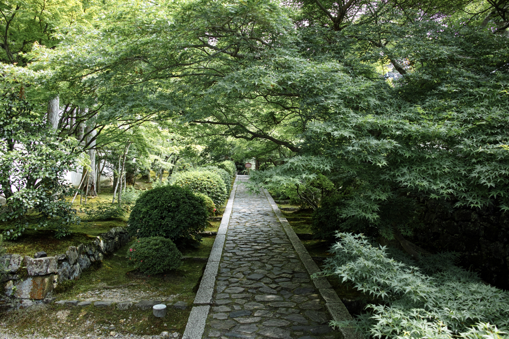 トンチの寺