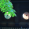 宗純王廟