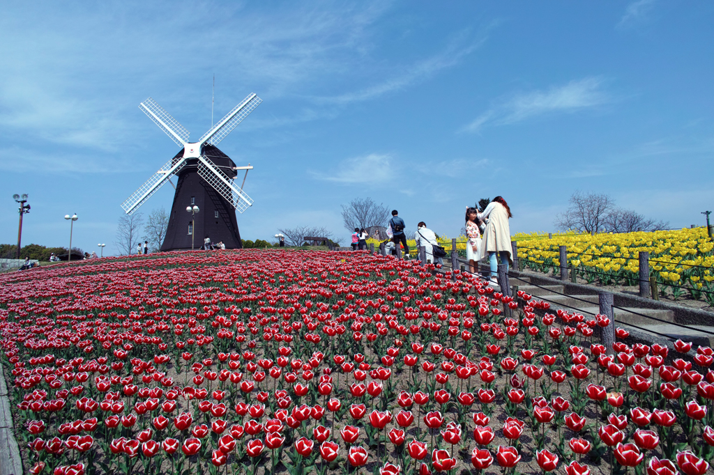 鶴見緑地公園にて