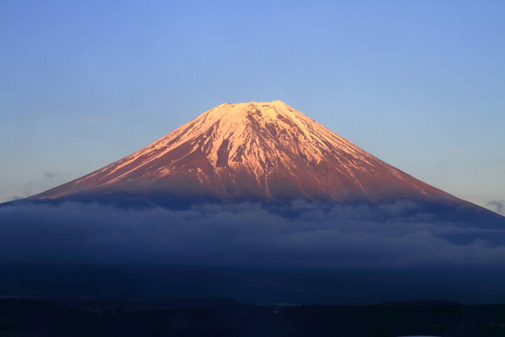 今年もお目にかかれました