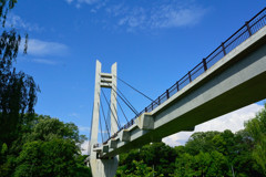 公園をつなぐ橋