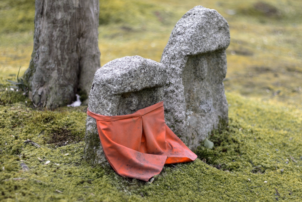 京都　祇王寺にて