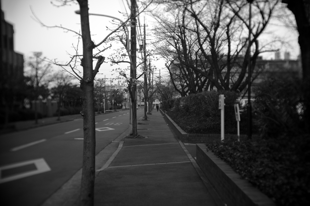 帰路にて