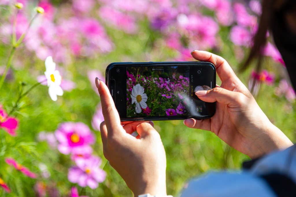 スマホが一番