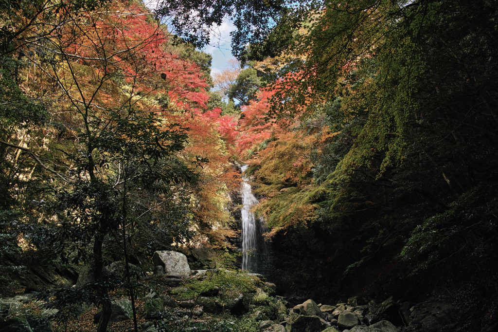 白藤の滝（三重県伊賀市）