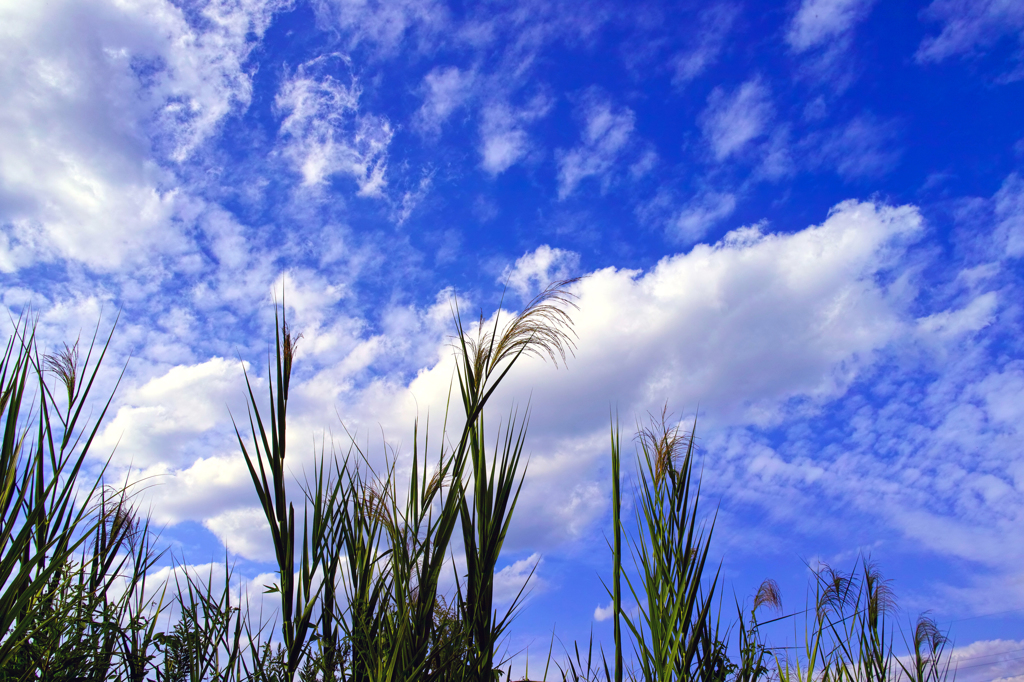 空