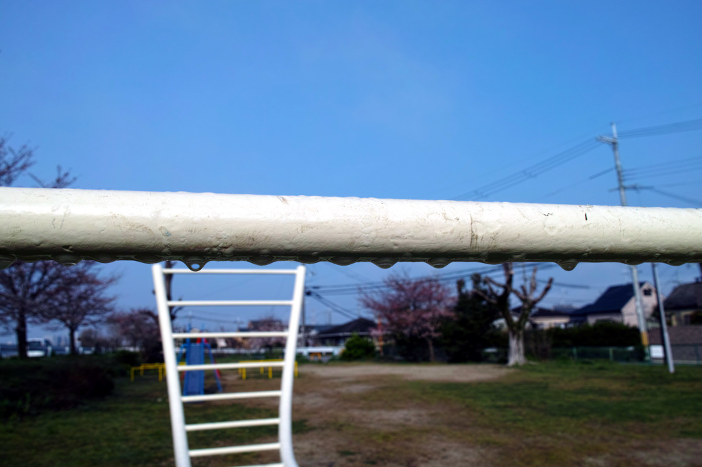 雨上がり