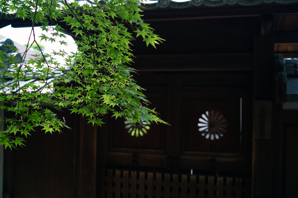窓