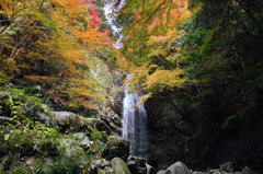 白藤の滝（三重県伊賀市）