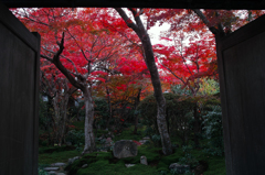 その名も”もみじ寺”