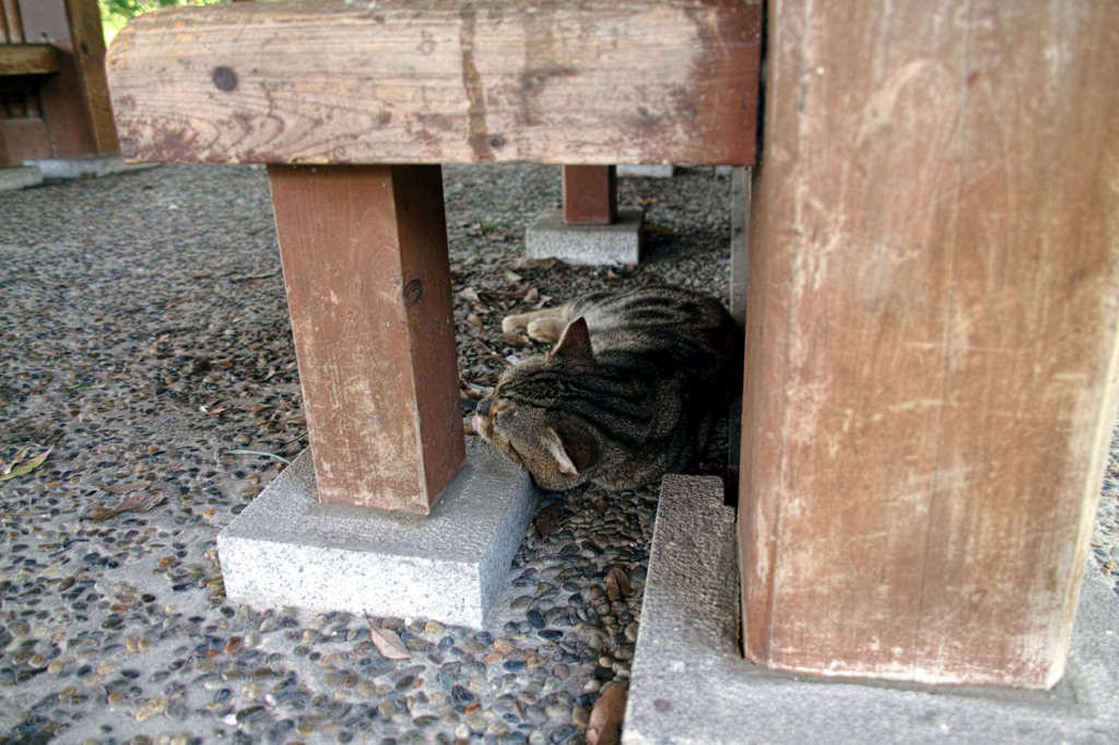 束石を枕に
