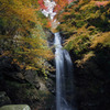 白藤の滝（三重県伊賀市）