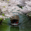 Sakuraと十石船