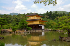 定番ですが