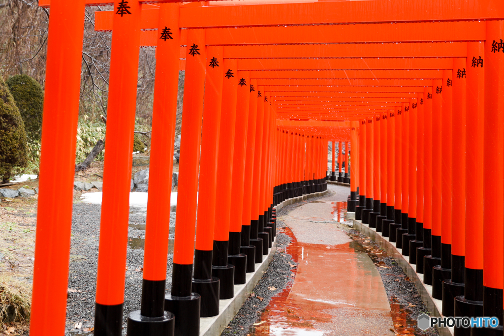 千本鳥居