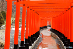 千本鳥居