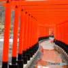 千本鳥居