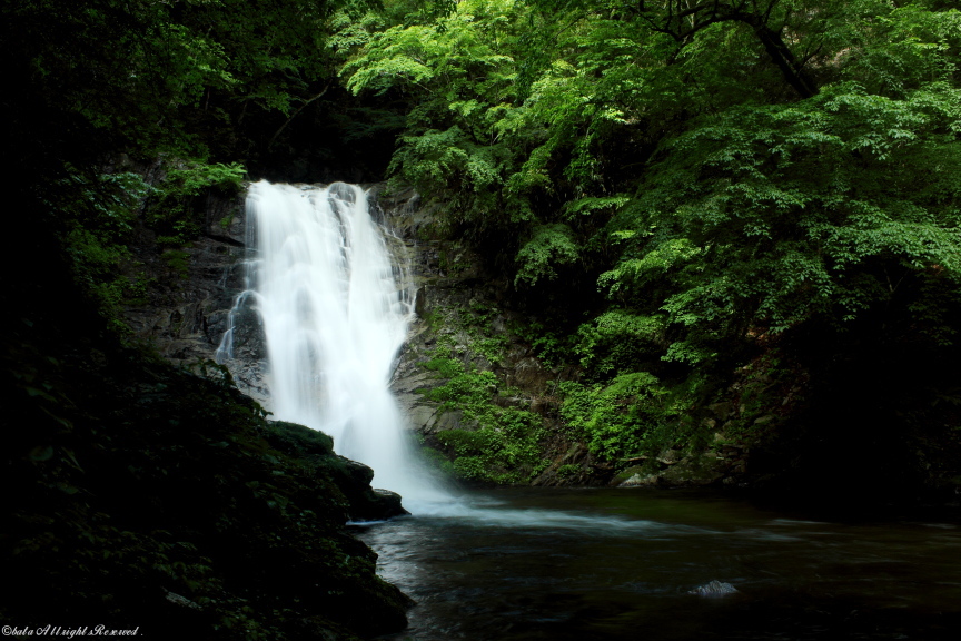 背戸峨廊-トッカケの滝