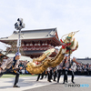 金龍の舞