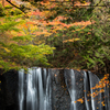 達沢不動滝の紅葉Ⅰ